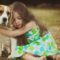 Kids and Dogs – Ensuring the safety and well being of both child & canine